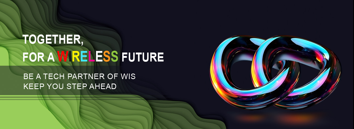 WIS Networks India